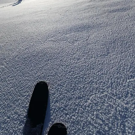 Apartment In Out Portes Du Soleil Champoussin *