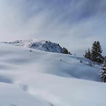 In Out Portes Du Soleil Champoussin Appartement Val dʼIlliez