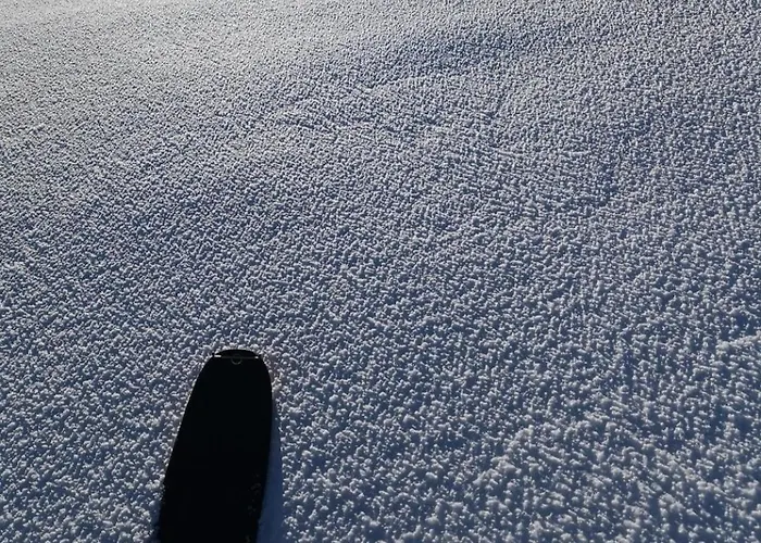 Appartement In Out Portes Du Soleil Champoussin *