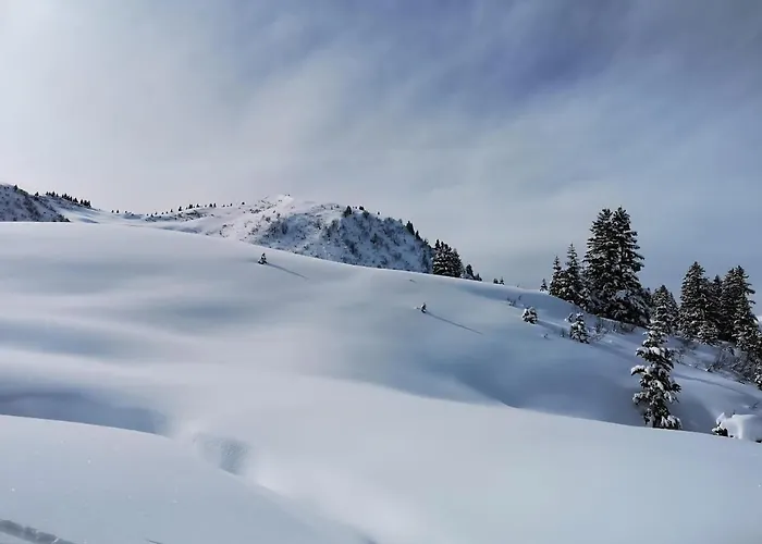 In Out Portes Du Soleil Champoussin Appartement Val dʼIlliez