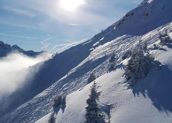 Daire In Out Portes Du Soleil Champoussin